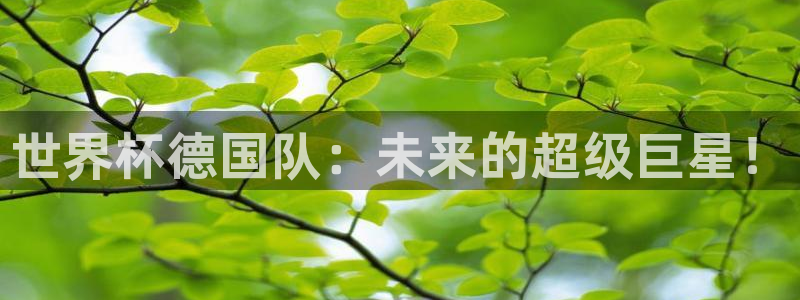 2006世界杯：世界杯德国队：未来的超级巨星！
