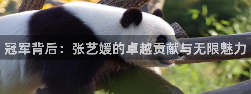 世界杯2026赛程时间表格：冠军背后：张艺媛的卓越贡献与无限魅力