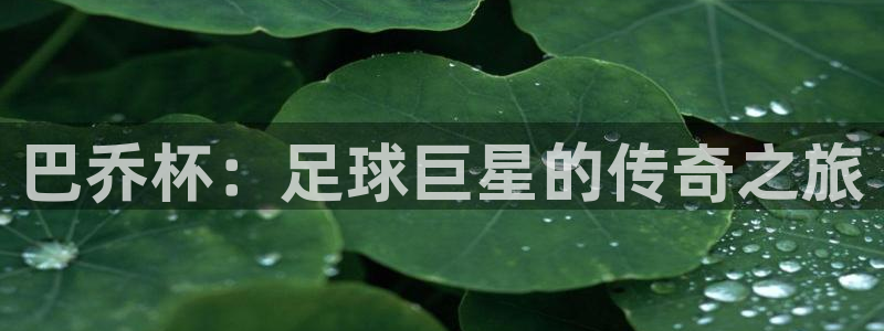 世界杯欧洲区预选赛：巴乔杯：足球巨星的传奇之旅