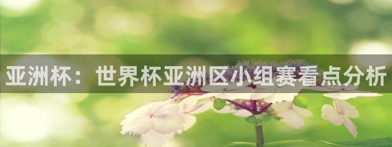 世界杯 直播：亚洲杯：世界杯亚洲区小组赛看点分析