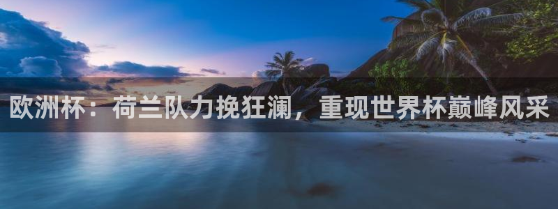 世界杯直播：欧洲杯：荷兰队力挽狂澜，重现世界杯巅峰风采