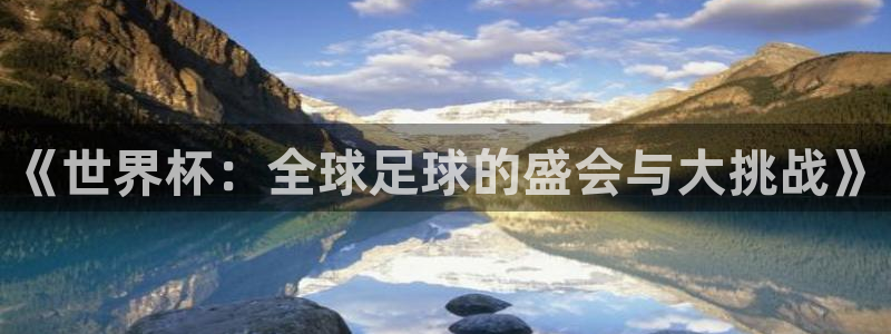 世界杯在线直播入口：《世界杯：全球足球的盛会与大挑战》