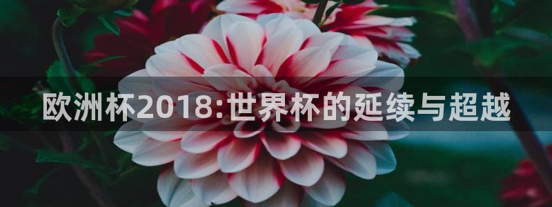 世界杯足球2026：欧洲杯2018:世界杯的延续与超越