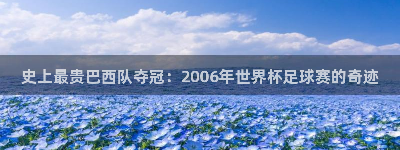 世界杯决赛圈球队：史上最贵巴西队夺冠：2006年世界杯足球赛的奇迹